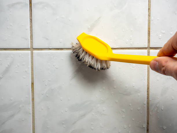 Best Mold Removal and Inspection  in Central Square, NY